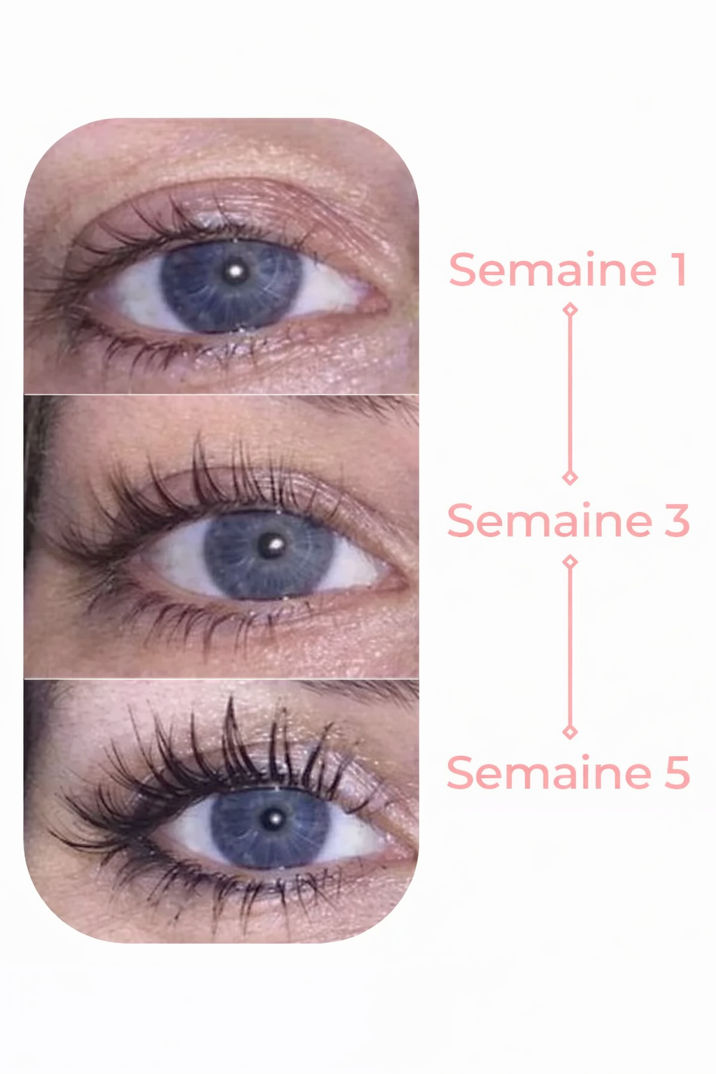 Sérum de croissance des cils