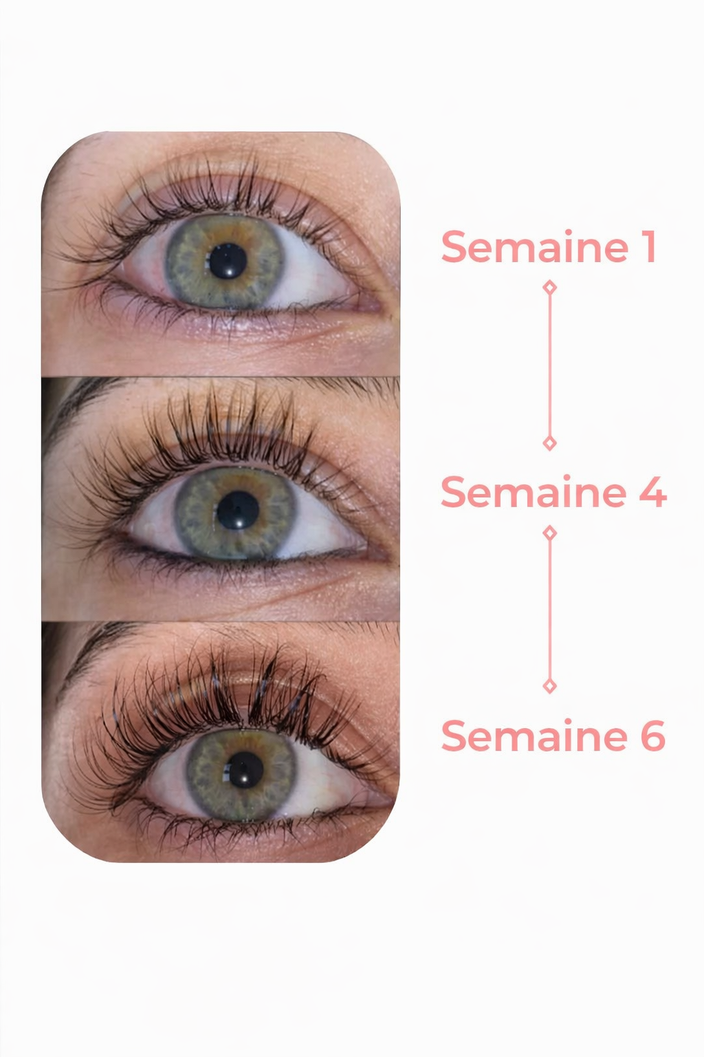 Sérum de croissance des cils